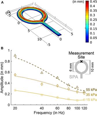 Age-Dependent Asymmetry of Wrist Position Sense Is Not Influenced by Stochastic Tactile Stimulation